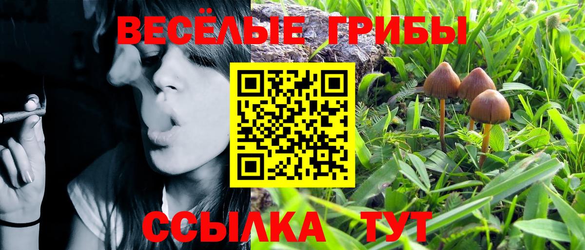 Галлюциногенные грибы мицелий  Вход с VPN  Галлюциногенные грибы мухоморы  Томск 